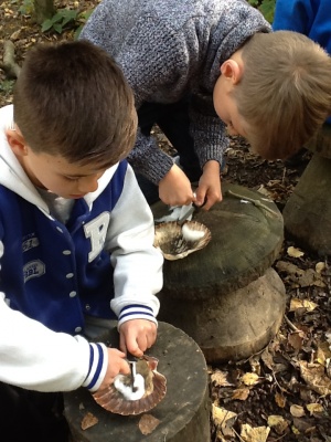 Forest School 